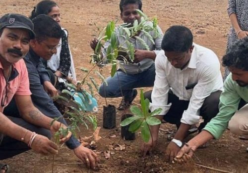 tala-2-e1717856423147-750x375